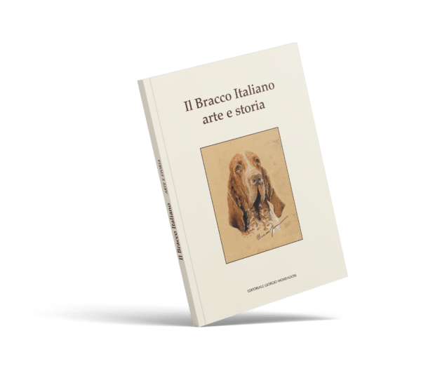 Il Bracco Italiano arte e storia | Bracco Italiano Arte e Storia